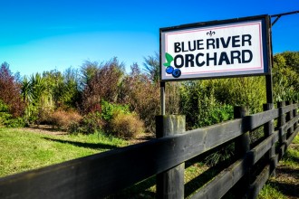 Blue River Orchard